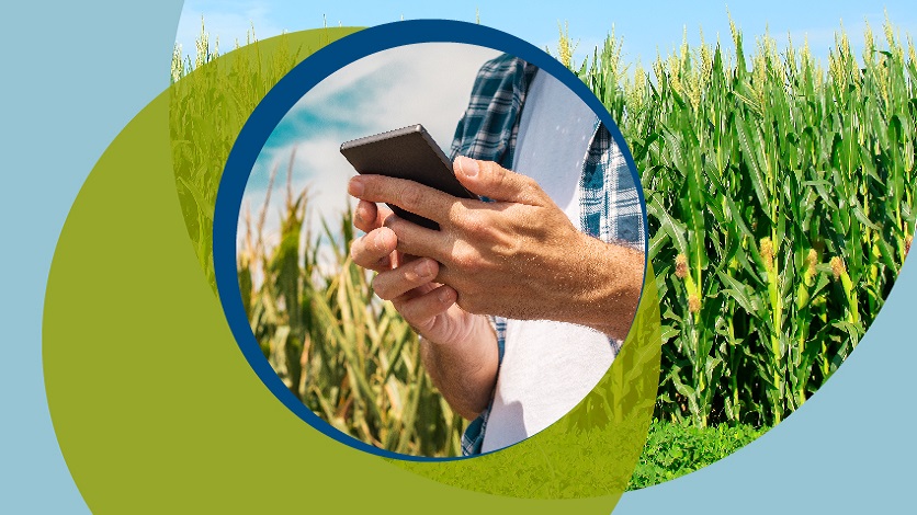 Digital services in agribusiness