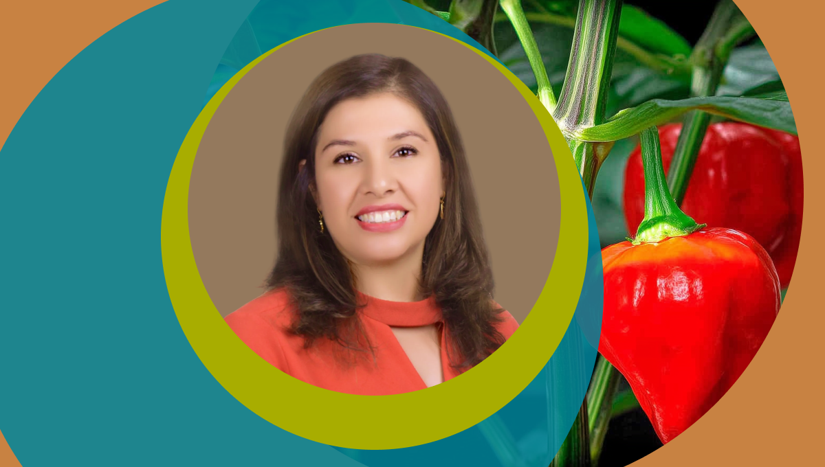 Development of plant growth regulators for habanero pepper from Yucatan Peninsula through aneco-friendly chemical transformation of steroidal sapogenins