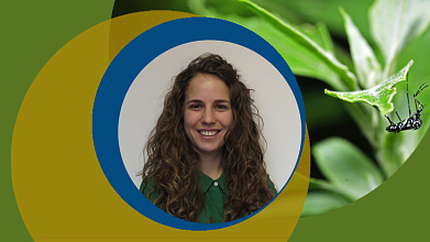 Enhancing antimalarial drug bioavailability via eutectic synergy with natural excipients