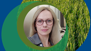 Digital Marketing and Online Sales