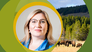 Biology of European bison