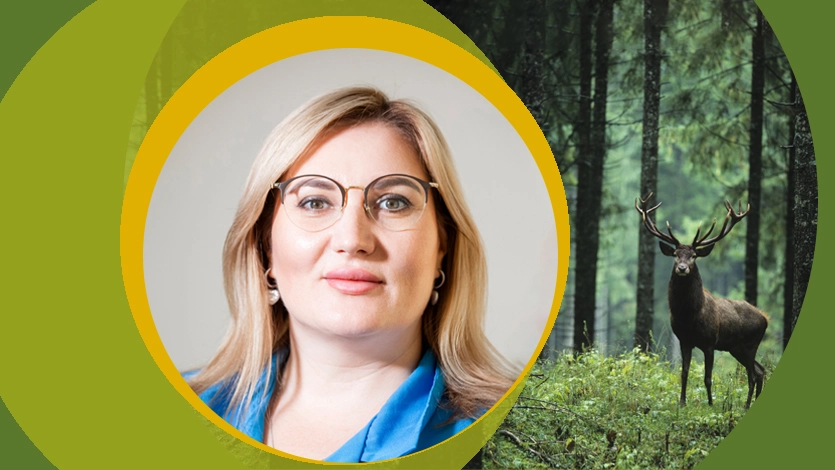 qora neylon taytlarda elastik eshak