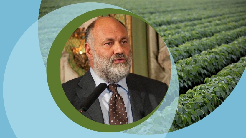 Global food security: challenges and role of Russia