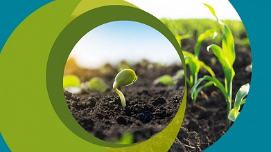 Organic Farming